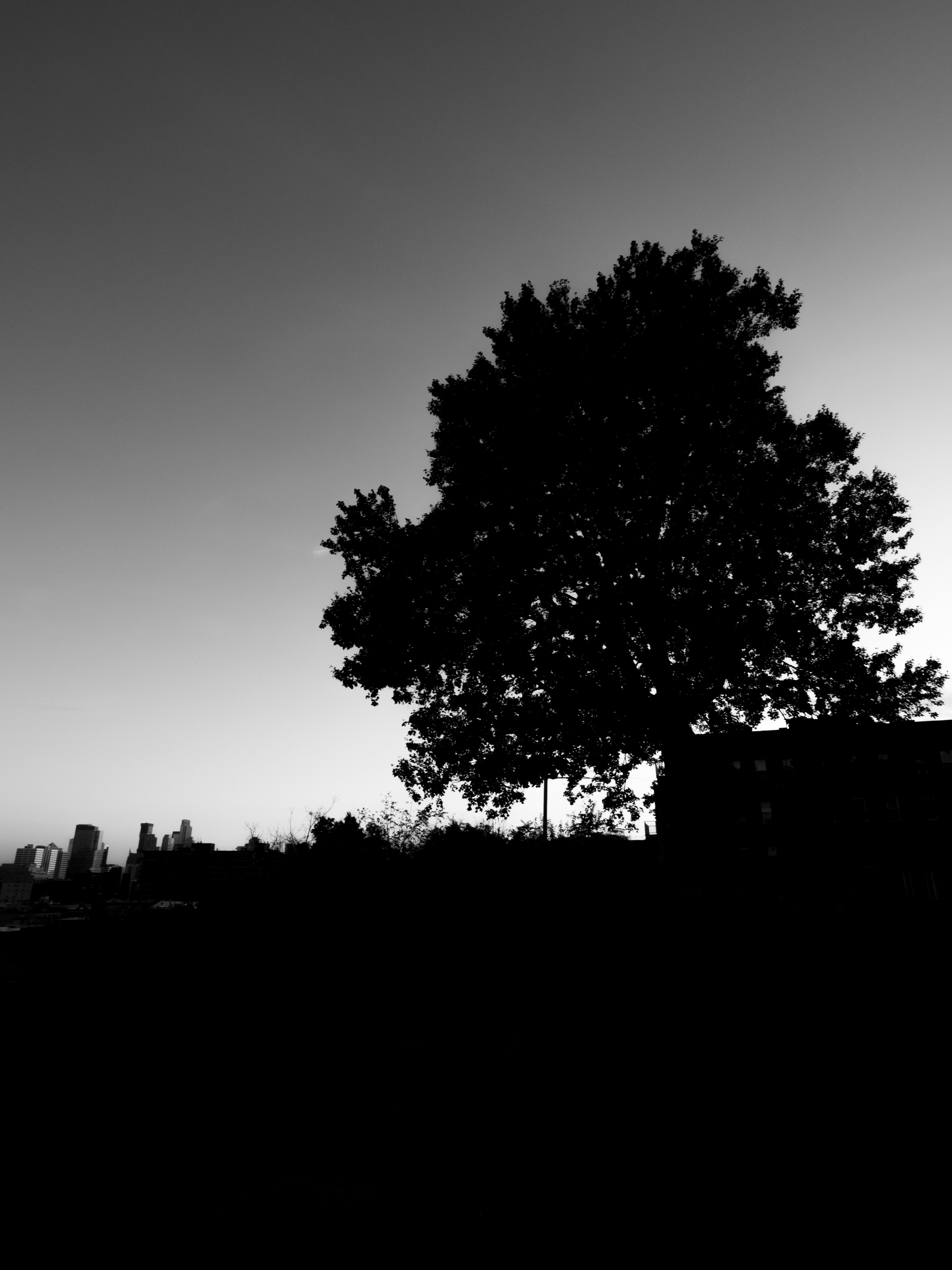 Photo by gabrielalmanzar