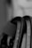 Close-up of black metallic carabiners with engraved CE and UKCA markings. The focus is on the text, providing a clear view of certification numbers and letters, set against a blurred background.