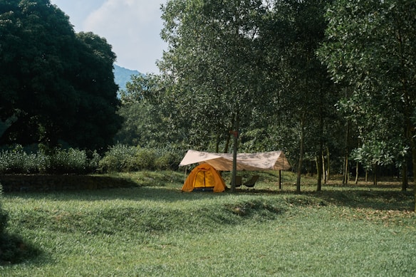 A yellow tent is set up in a lush, green forest clearing. There's a tarp providing additional cover, and tall trees surround the peaceful campsite. The grass is well-trimmed, and the entire scene is bathed in soft natural light, suggesting a calm and serene outdoor setting perfect for camping.