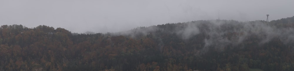 a mountain covered in fog with trees in the foreground