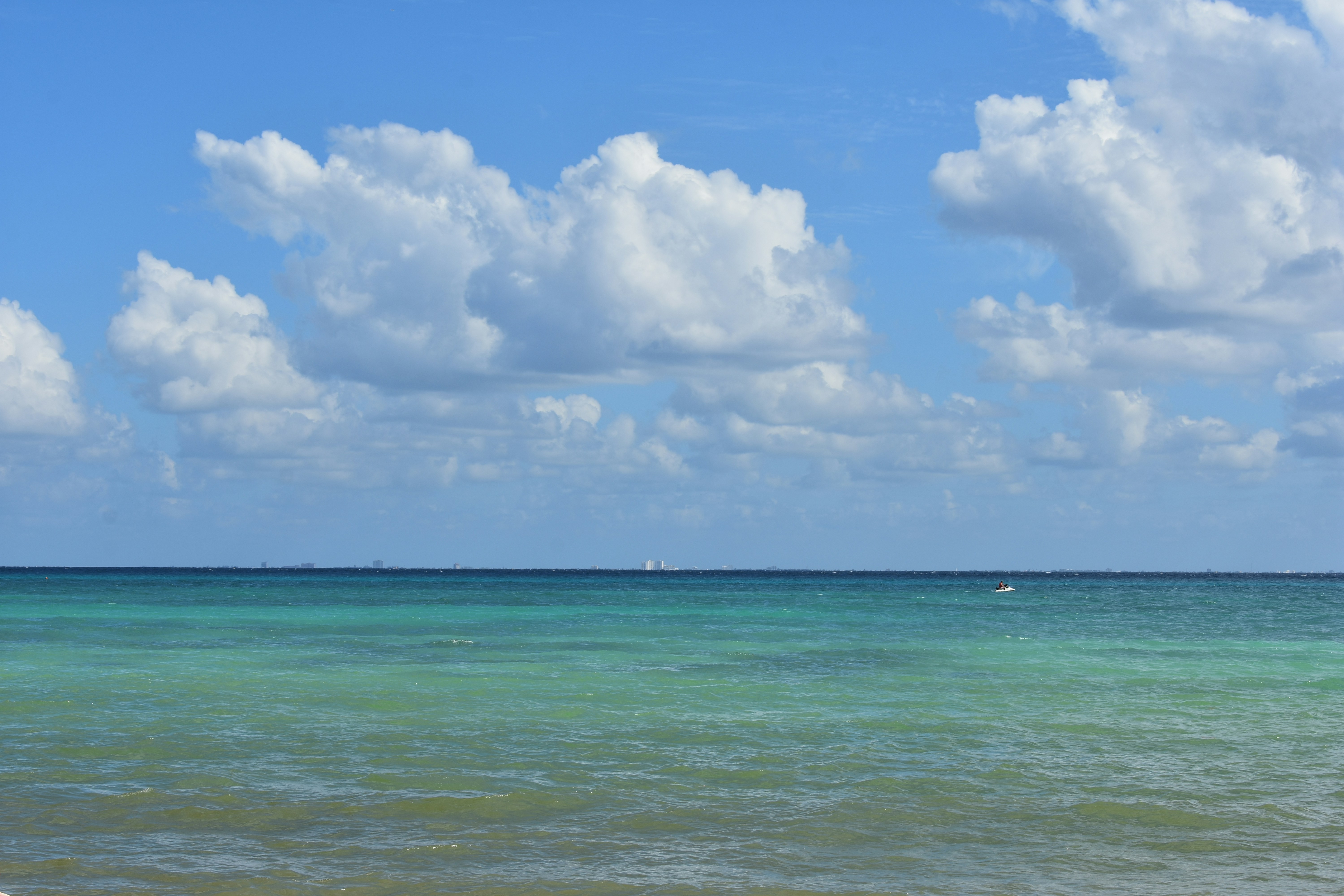 Photo by tulip_sunflower