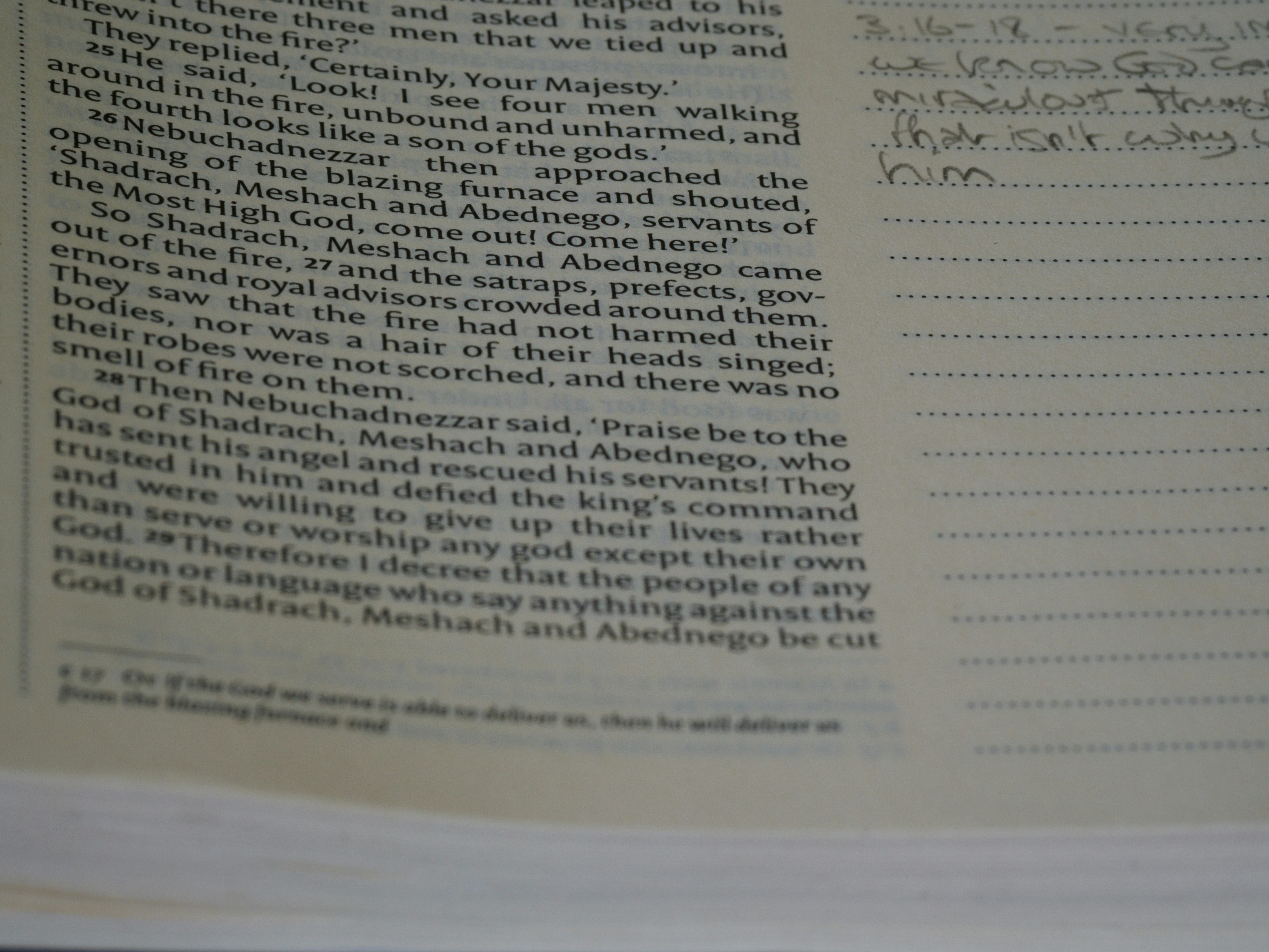 Photo by brett_jordan