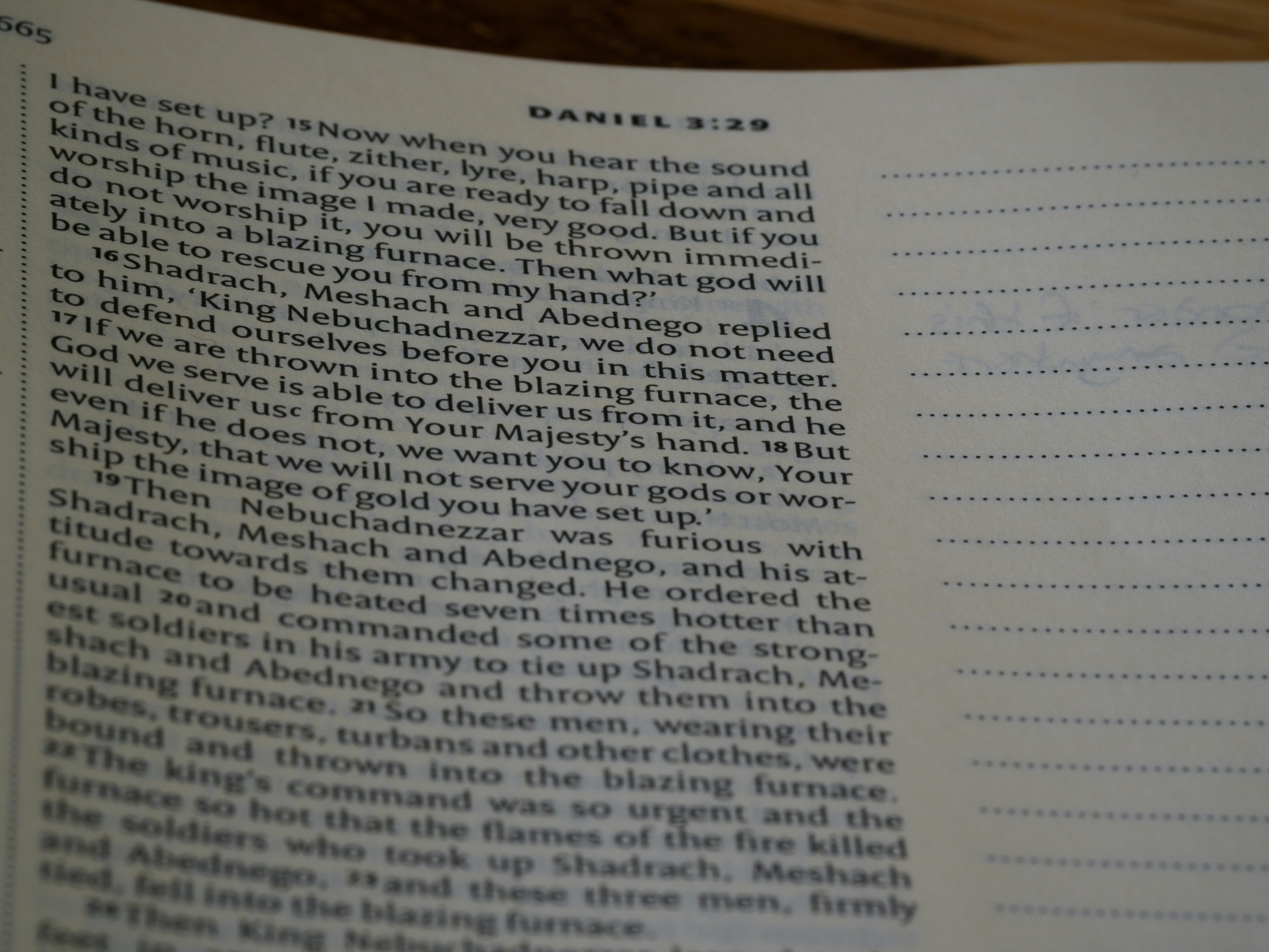 Photo by brett_jordan