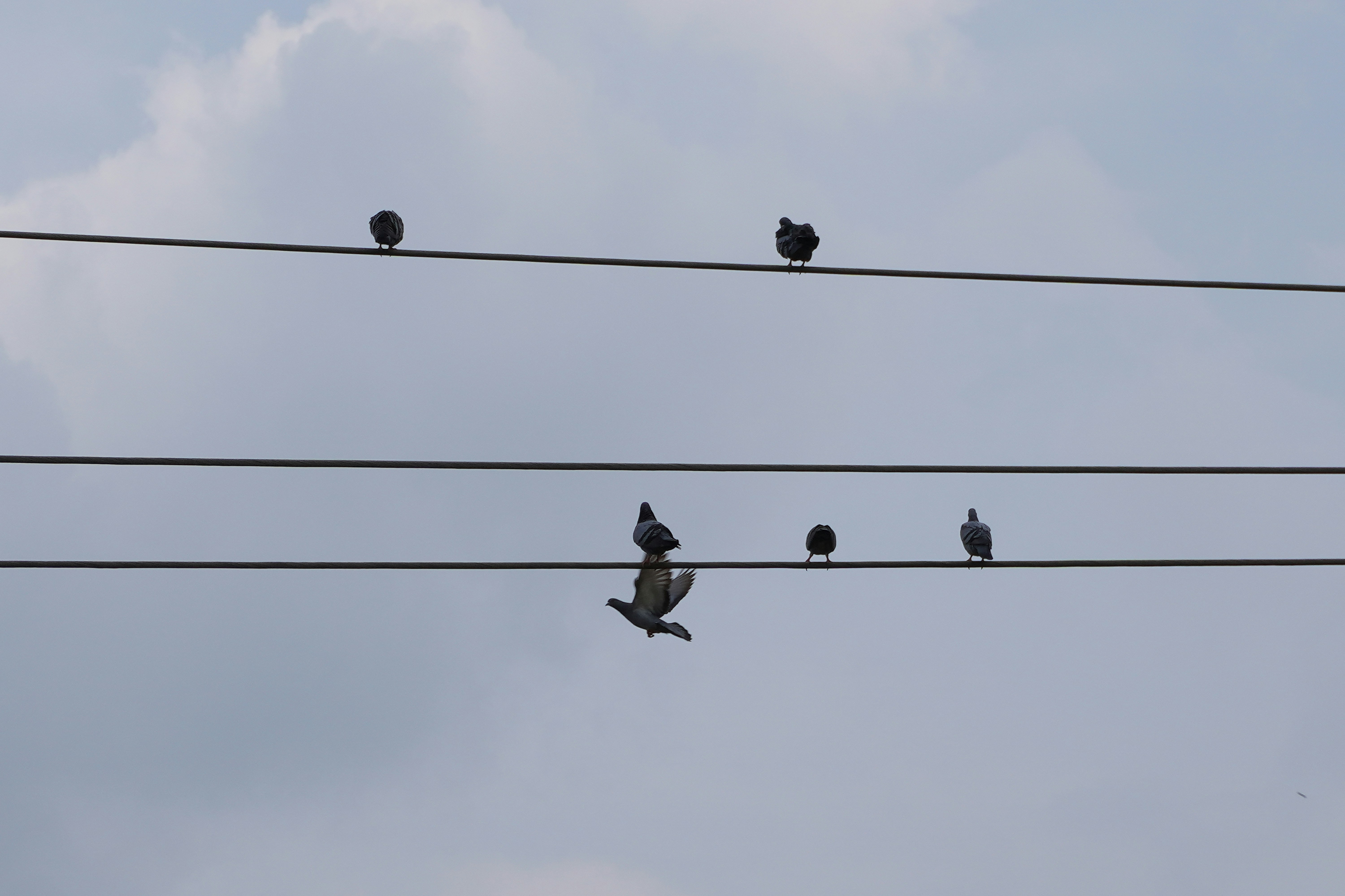 Photo by adeveloper79