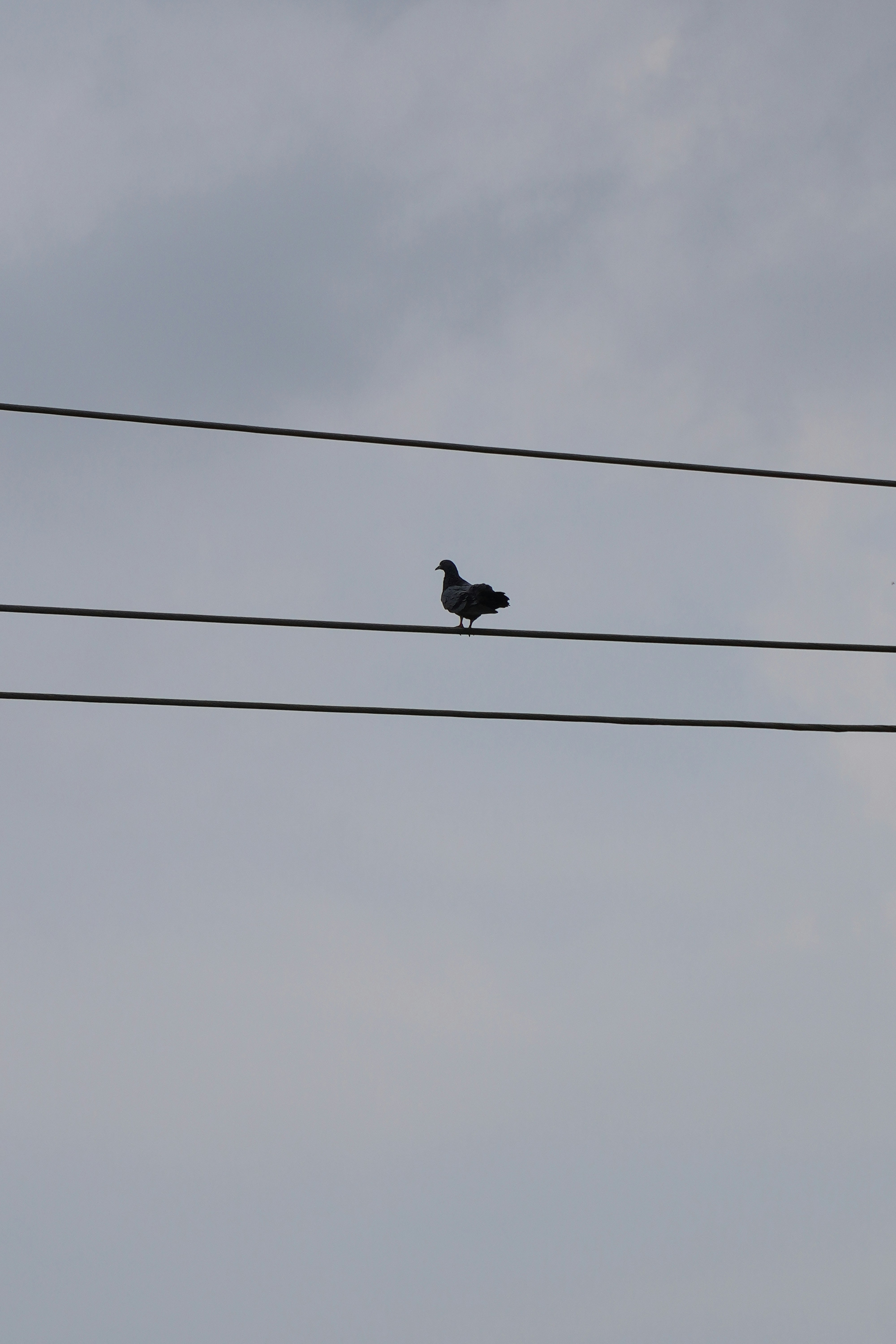 Photo by adeveloper79