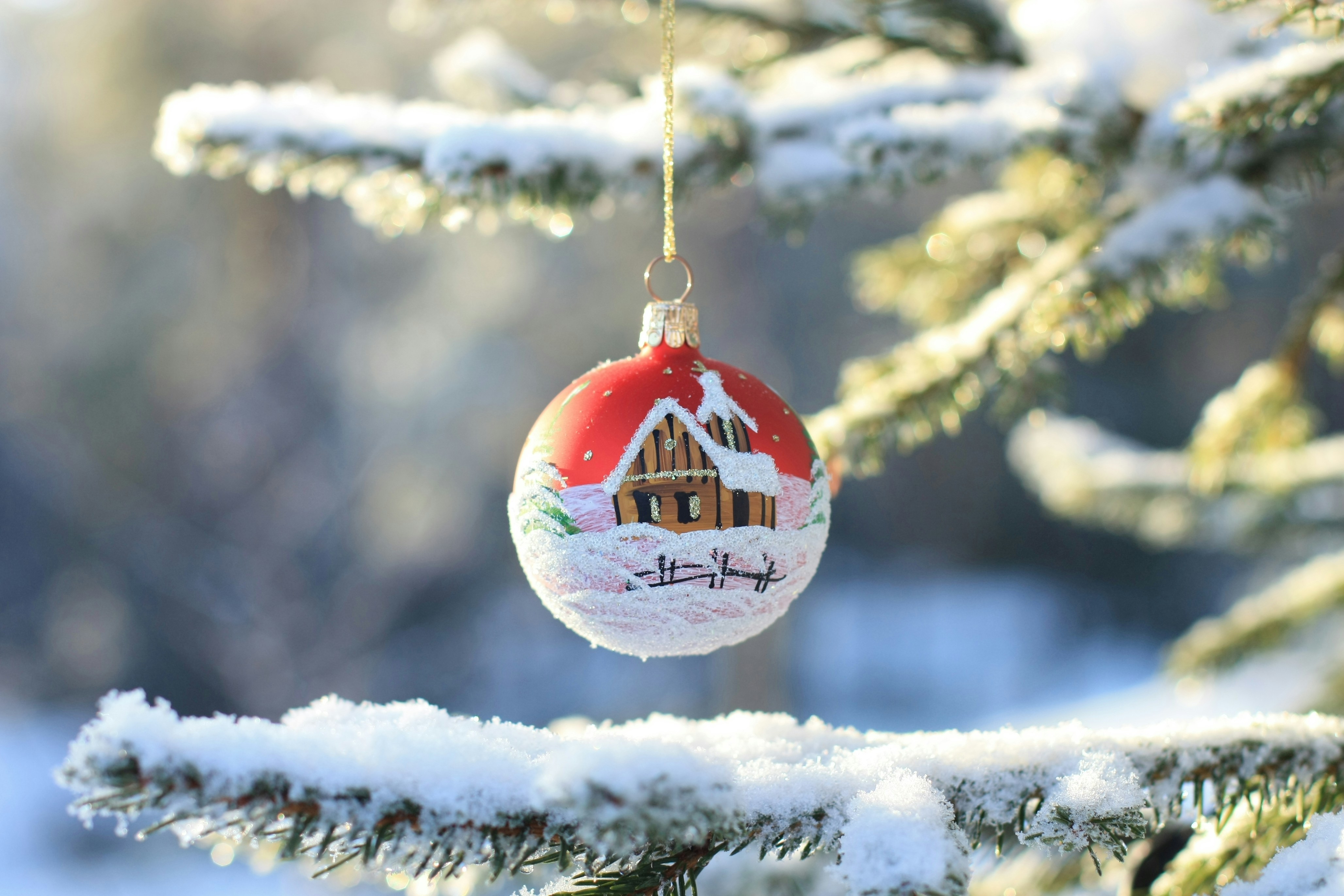 a christmas ornament hanging from a tree