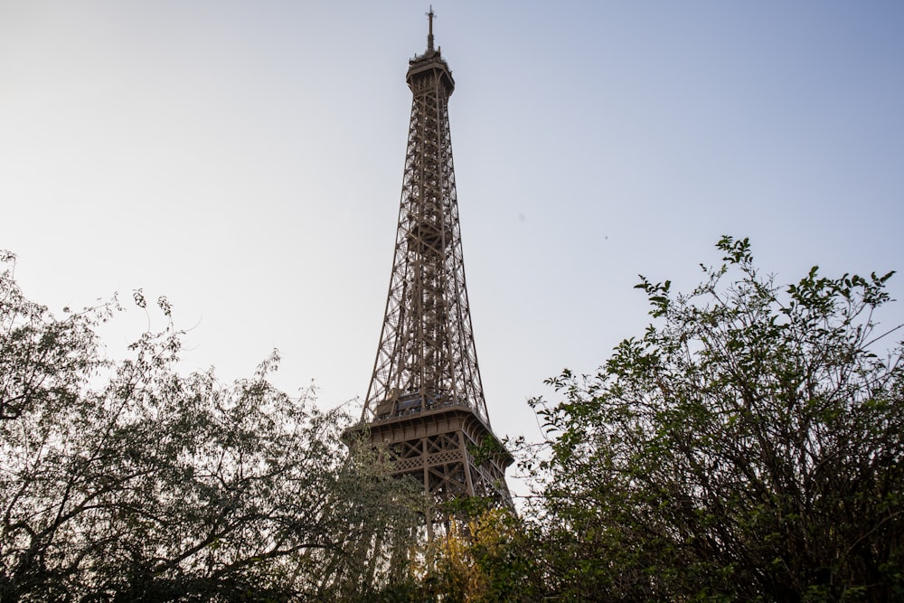 the eiffel tower is surrounded by trees