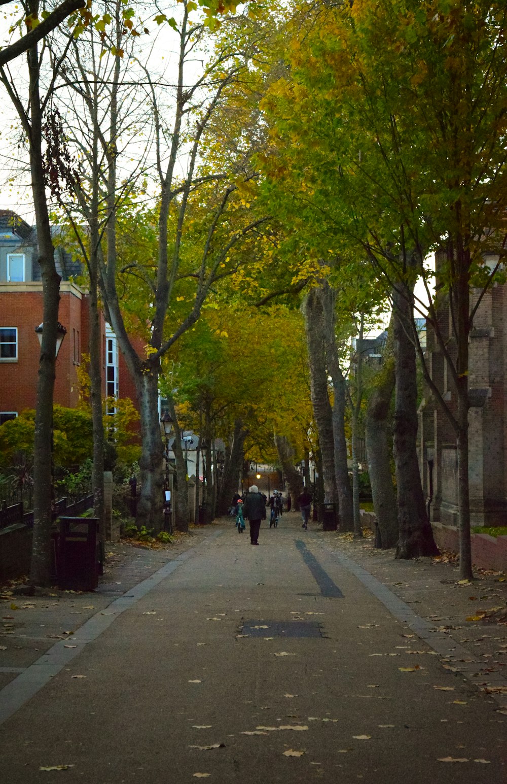 a couple of people walking down a tree lined street