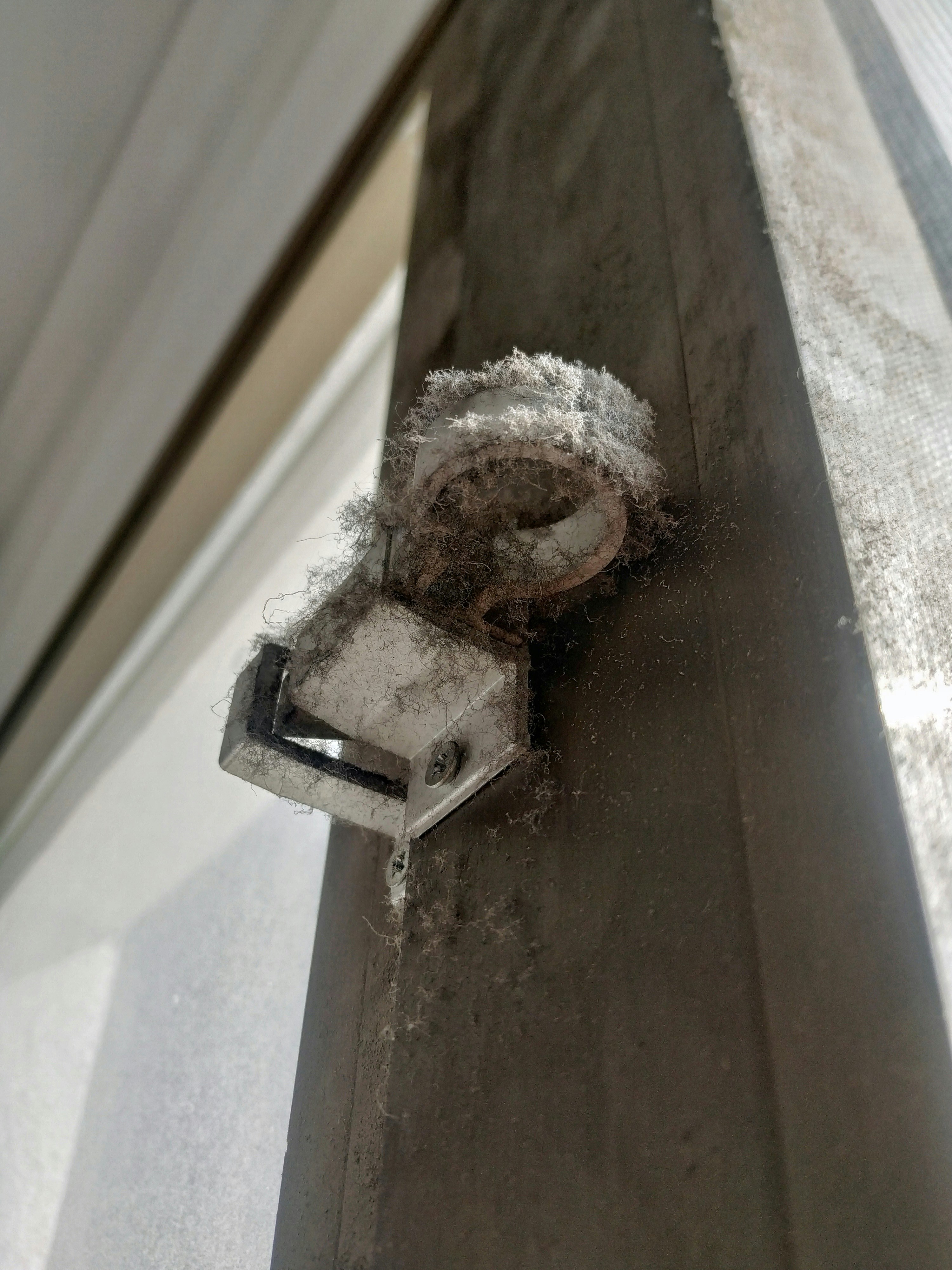 A person trying to force open a stuck wooden window