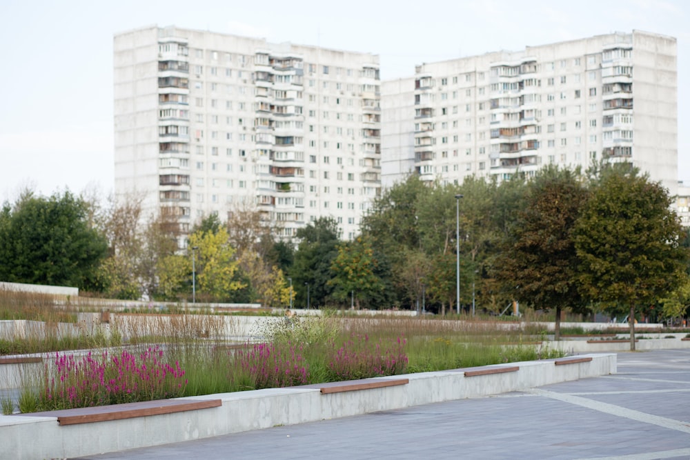 a parking lot with benches and flowers in front of tall buildings