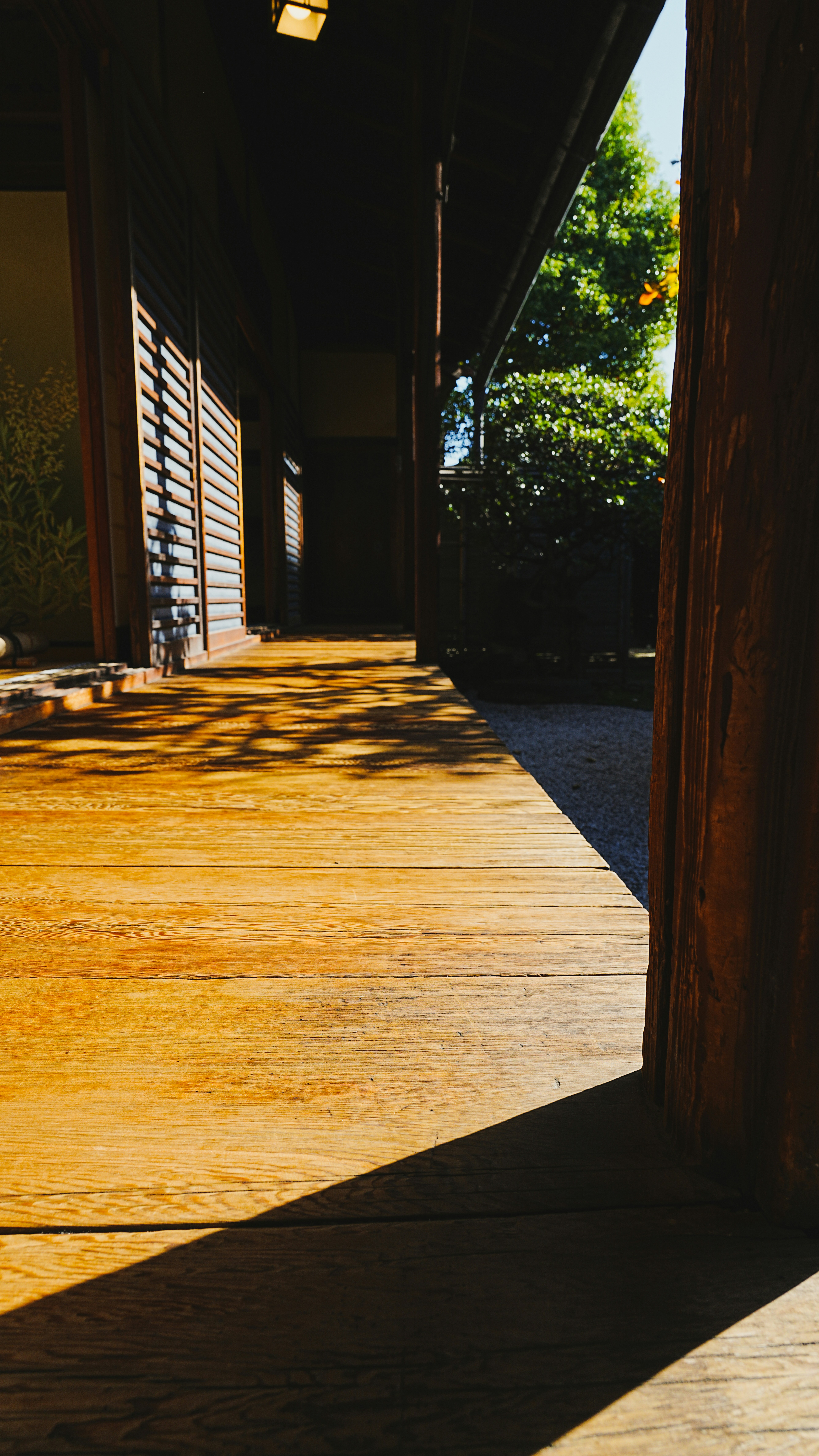 Photo by blueskymegumi