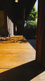 A newly built wooden terrace bathed in warm sunlight.