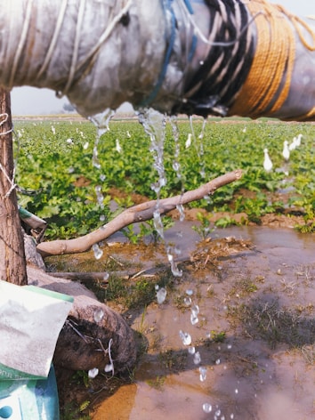 A pipe wrapped in various colored materials releases water droplets into a field. The background features a green and lush agricultural area under a clear sky. Nearby, a branch and some farming equipment are visible.