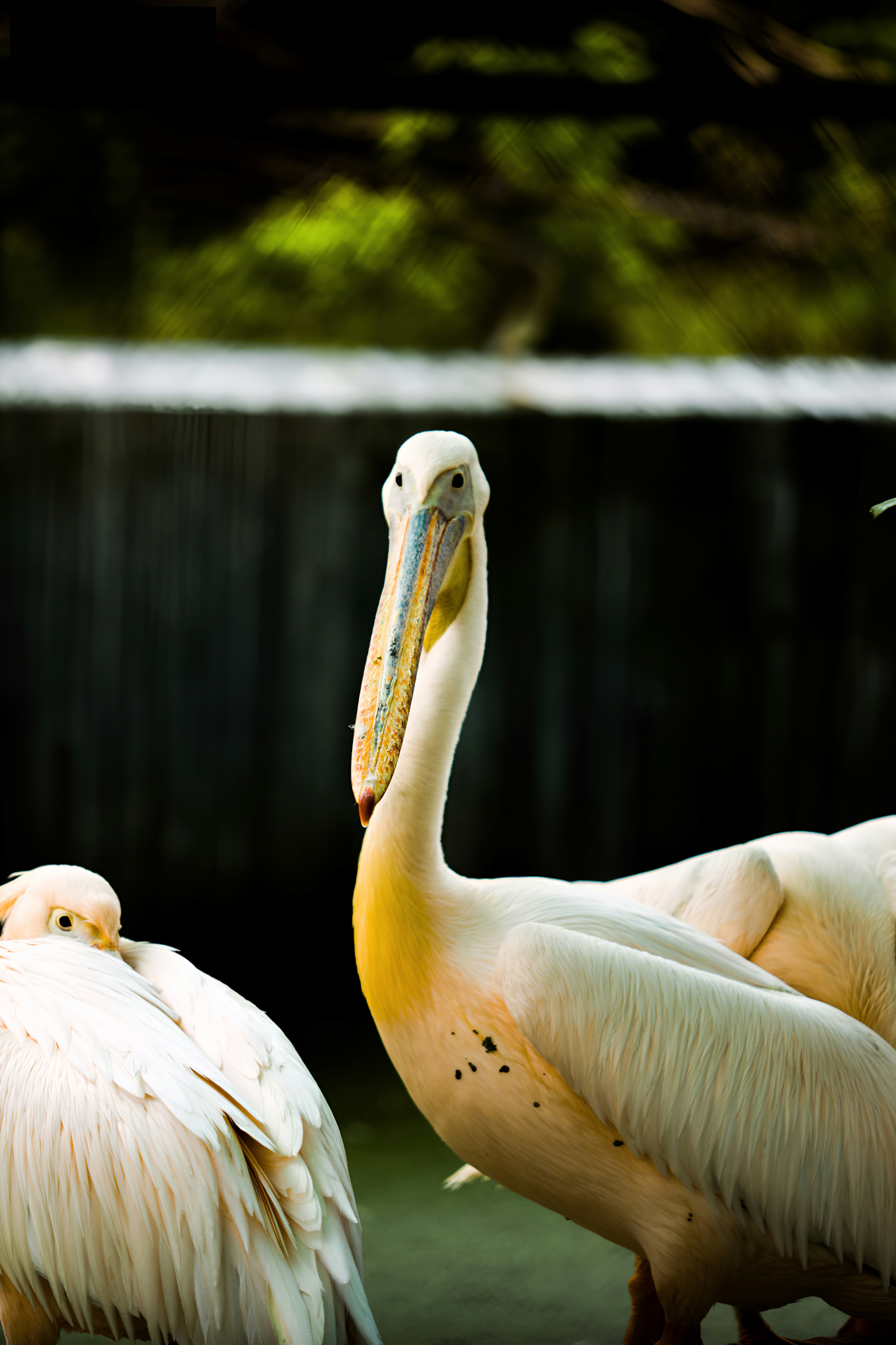 Photo by praneethjonnala