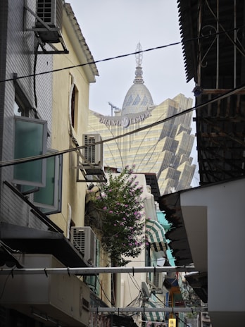 A narrow alleyway lined with old buildings featuring air conditioning units and open windows. In the background, the modern and iconic Grand Lisboa hotel and casino with its unique architectural design rises prominently. A tree with vibrant pink flowers adds a touch of nature to the urban scene.