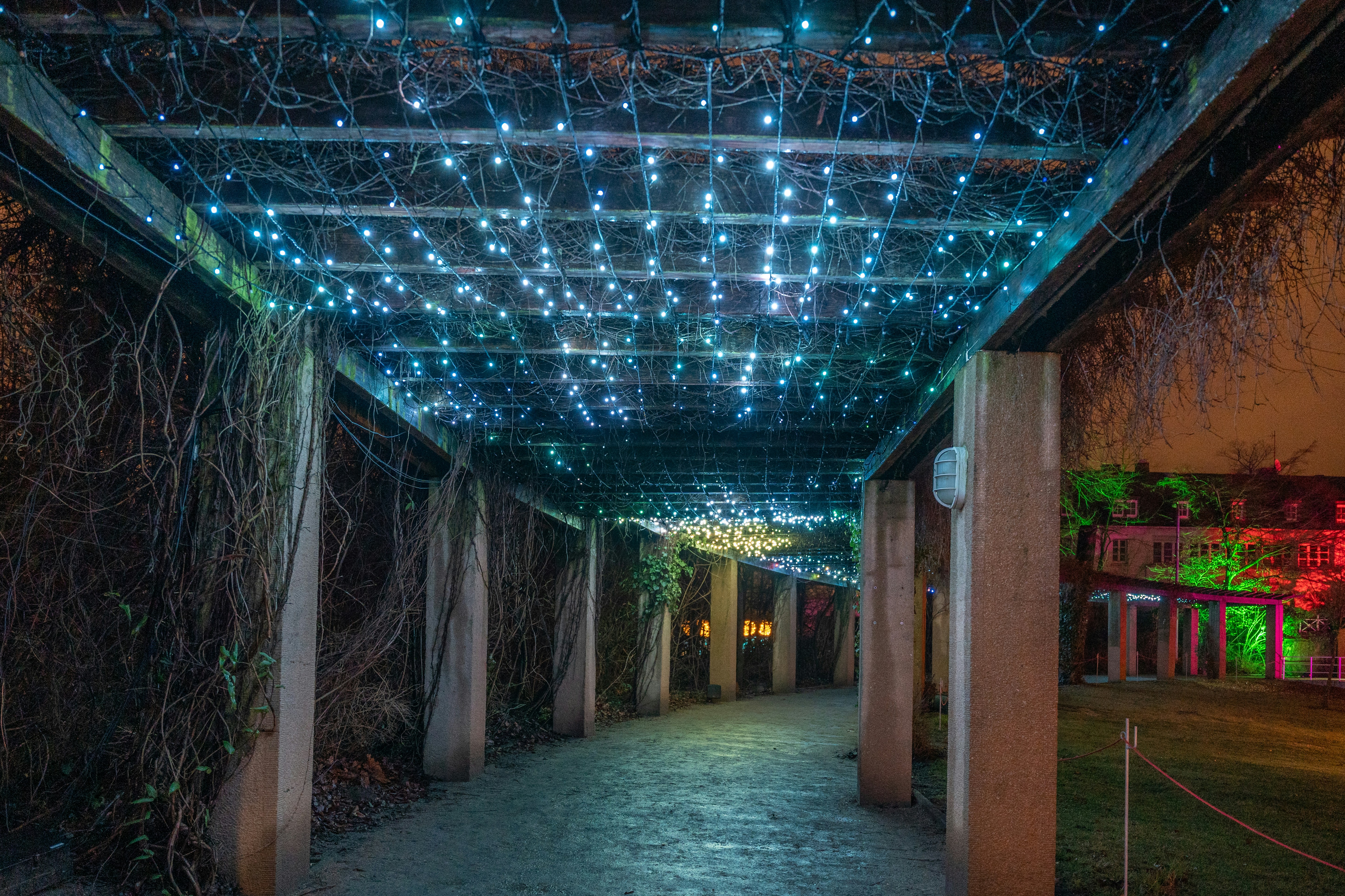 Photo by masoodaslami