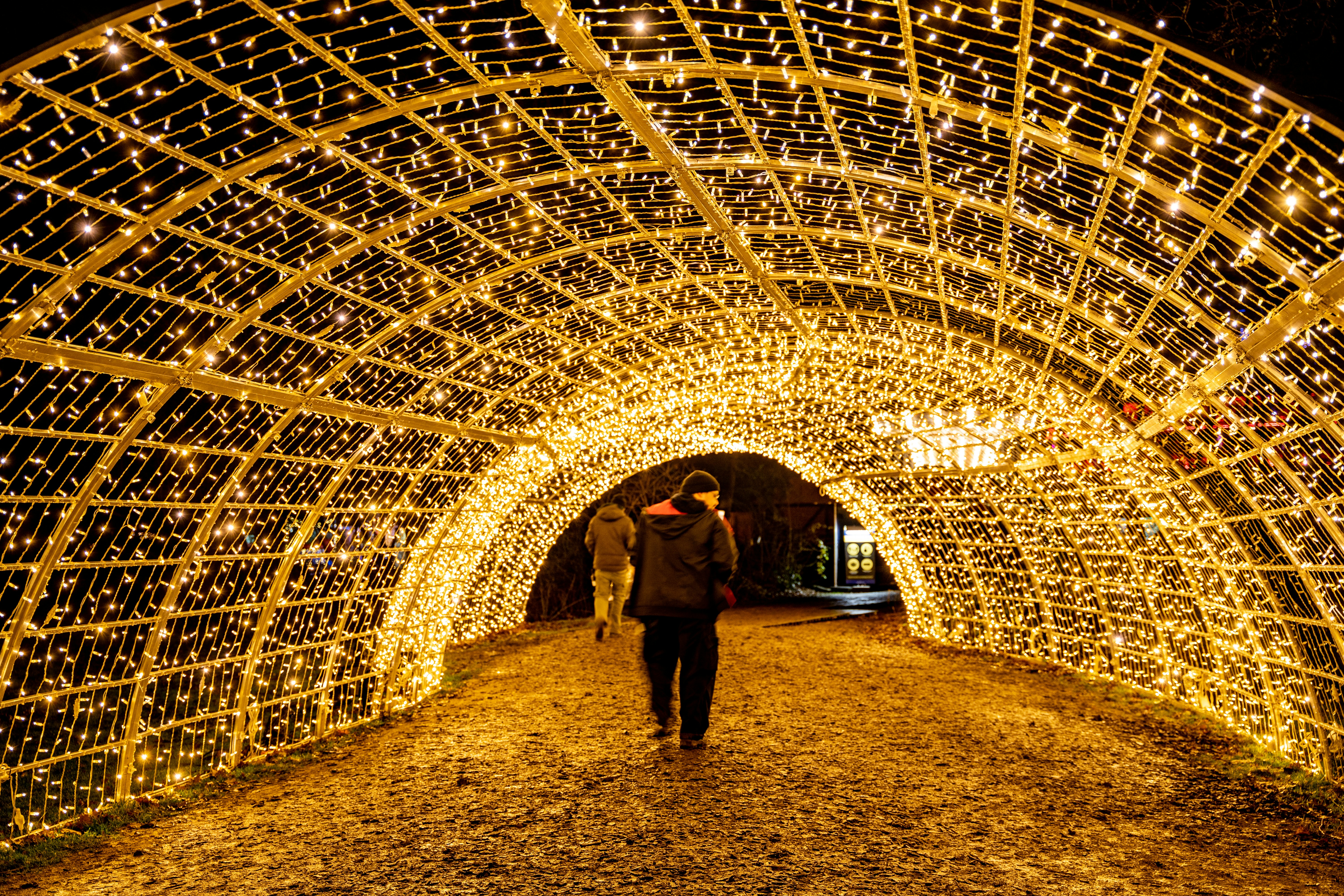 Photo by masoodaslami