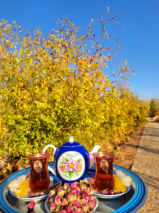 A group of smiling girls enjoying a colorful tea mentorship session outdoors, surrounded by vibrant decorations.