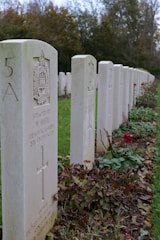 a row of headstones in a cemetery