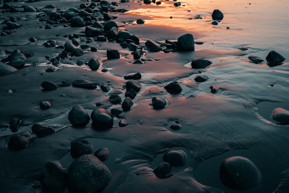 a beach covered in lots of rocks next to the ocean