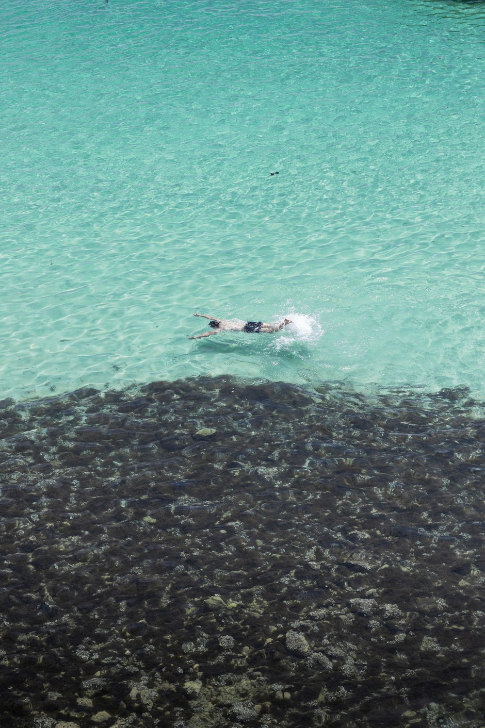 a person swimming in a body of water