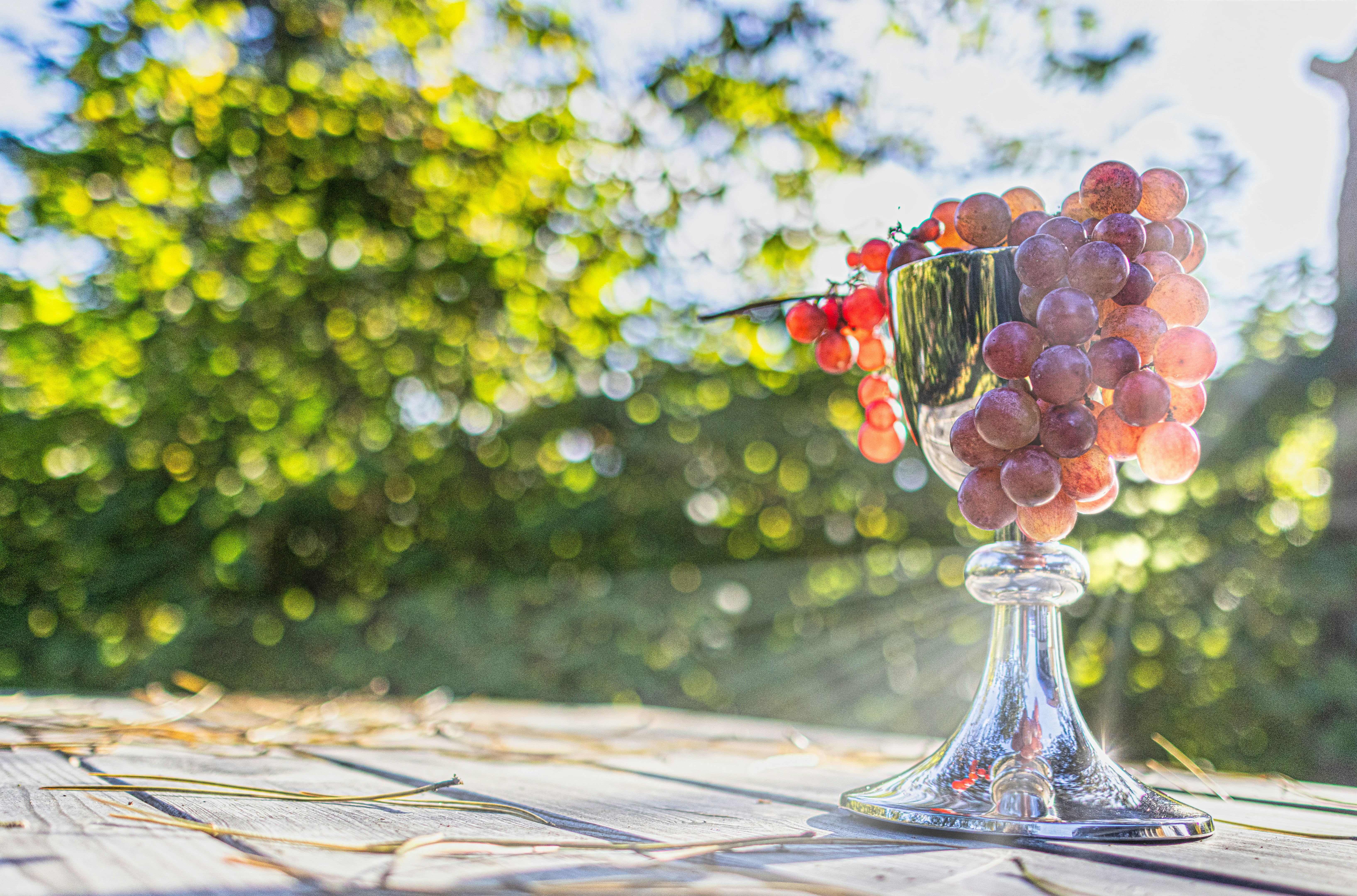 8 Wine Festival Tips for Heatwave Conditions