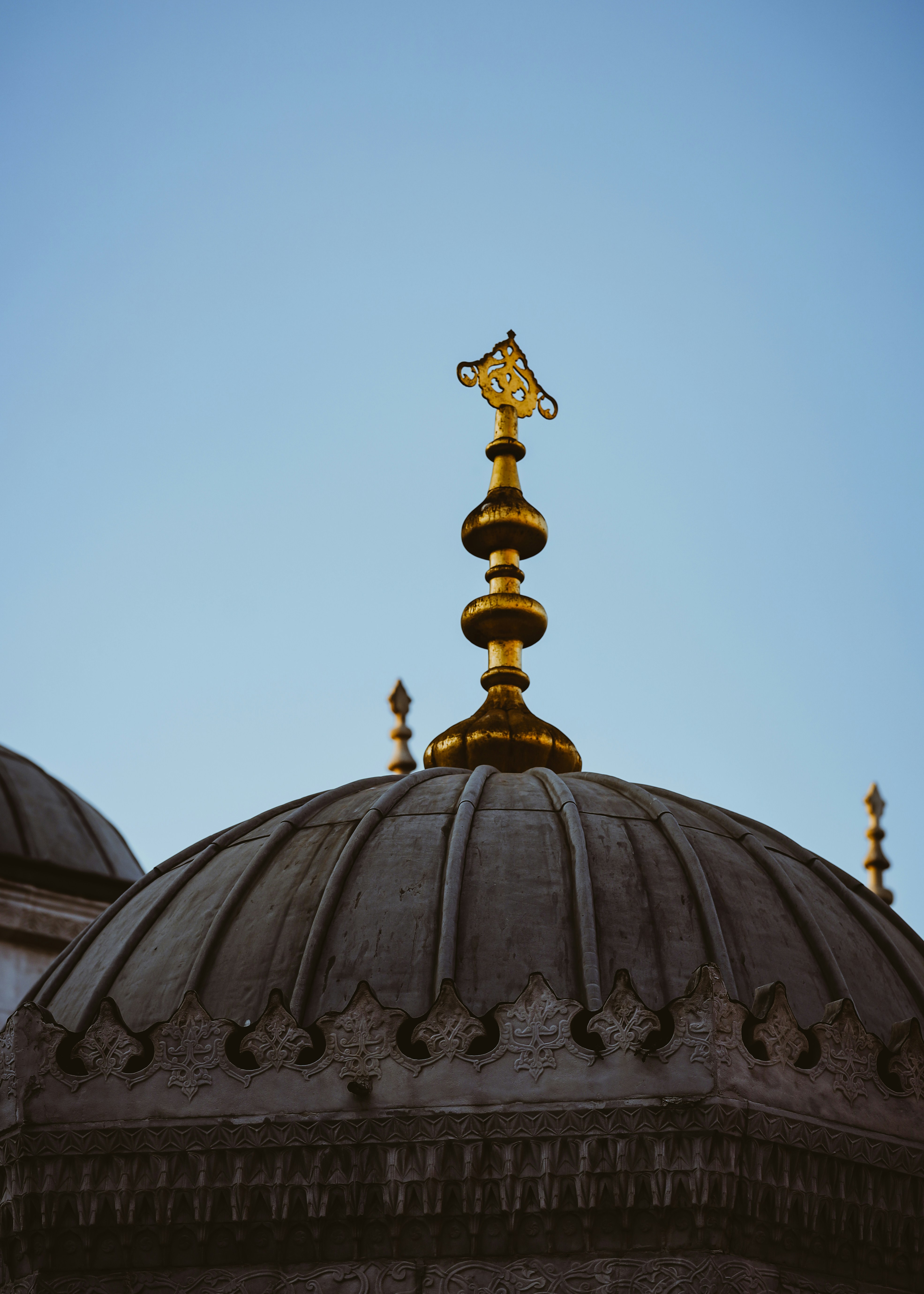 Photo by himo_beast1996