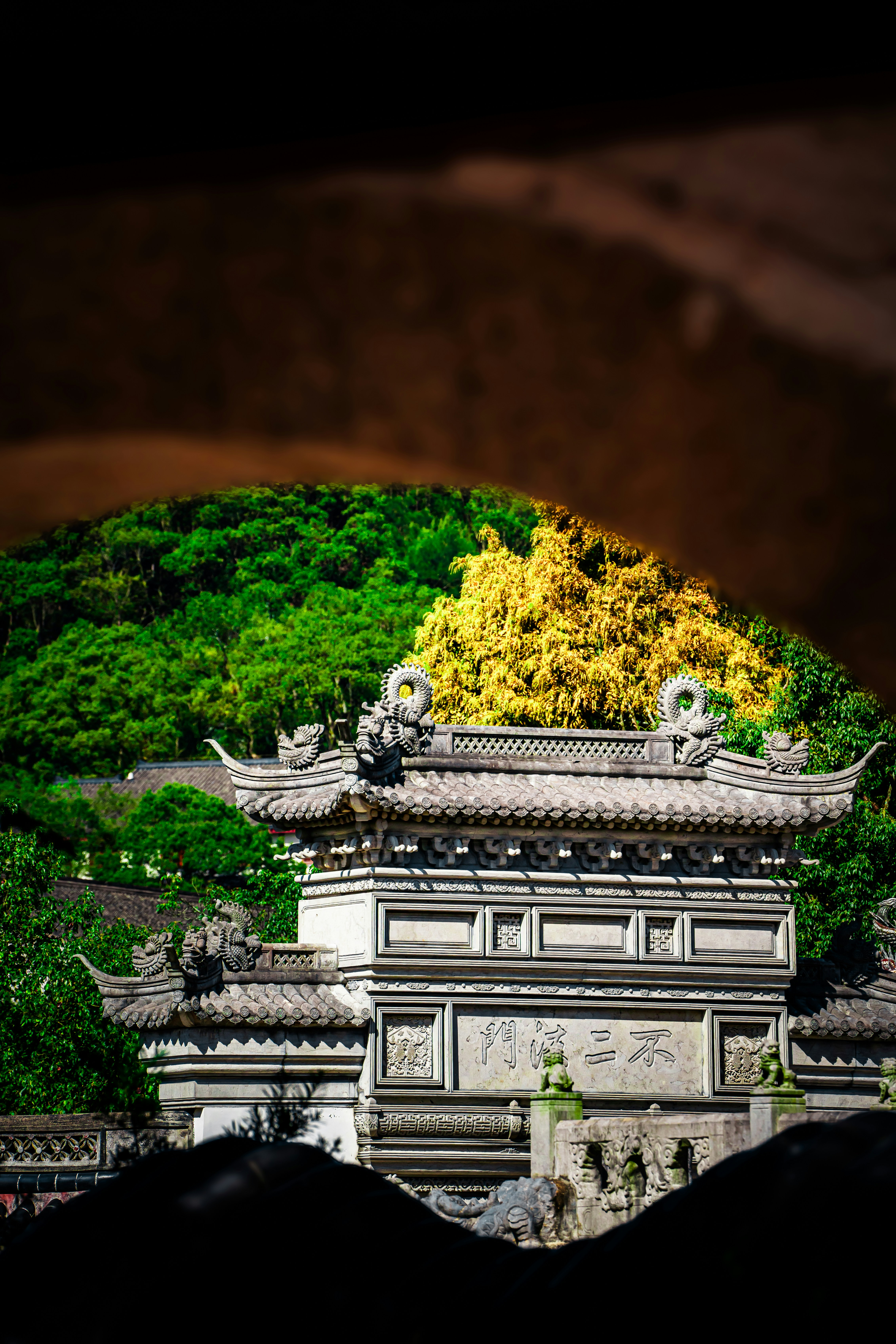uma vista de um edifício com uma árvore amarela em cima dele