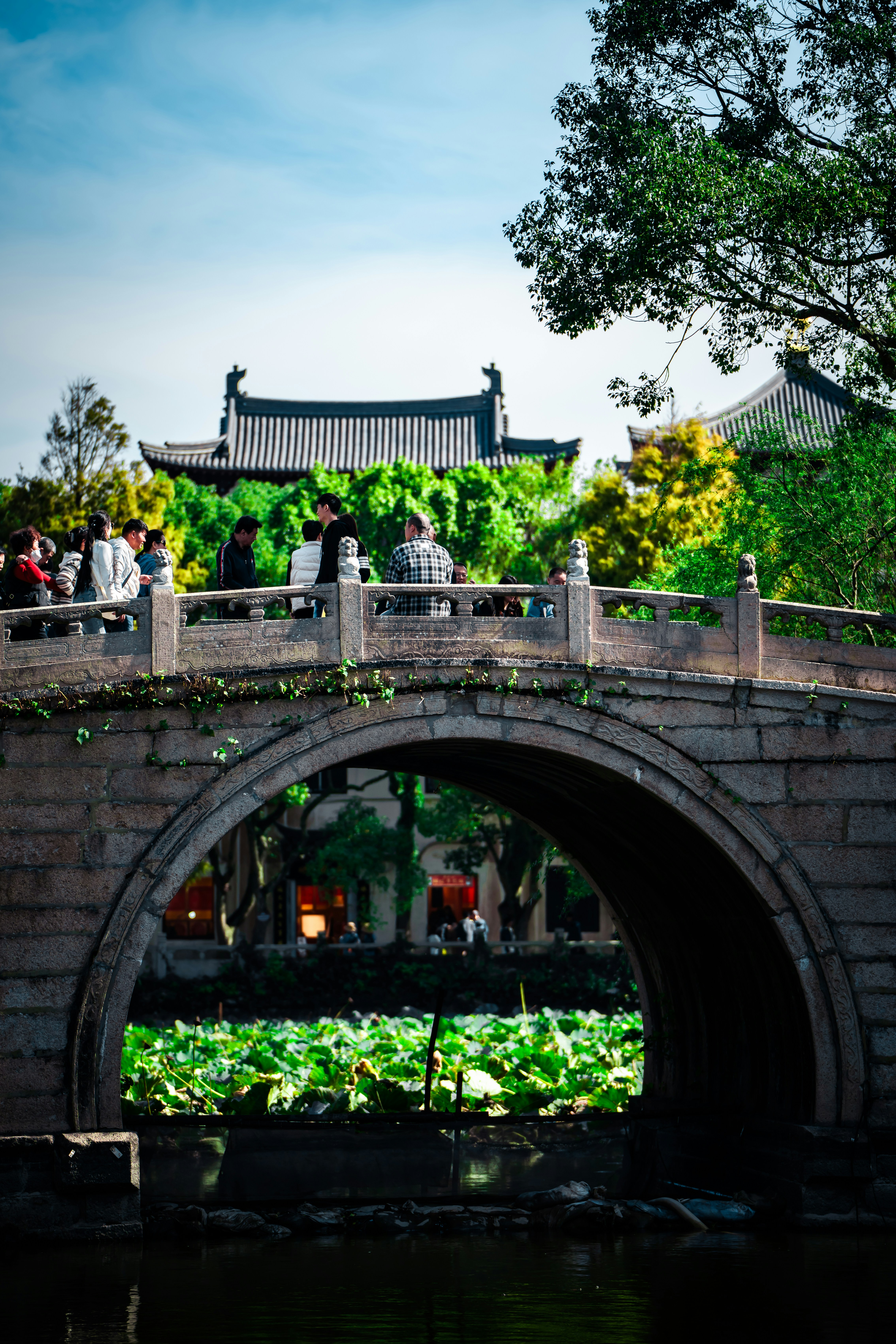 View of Suzhou's classical garden with lush greenery and traditional architecture