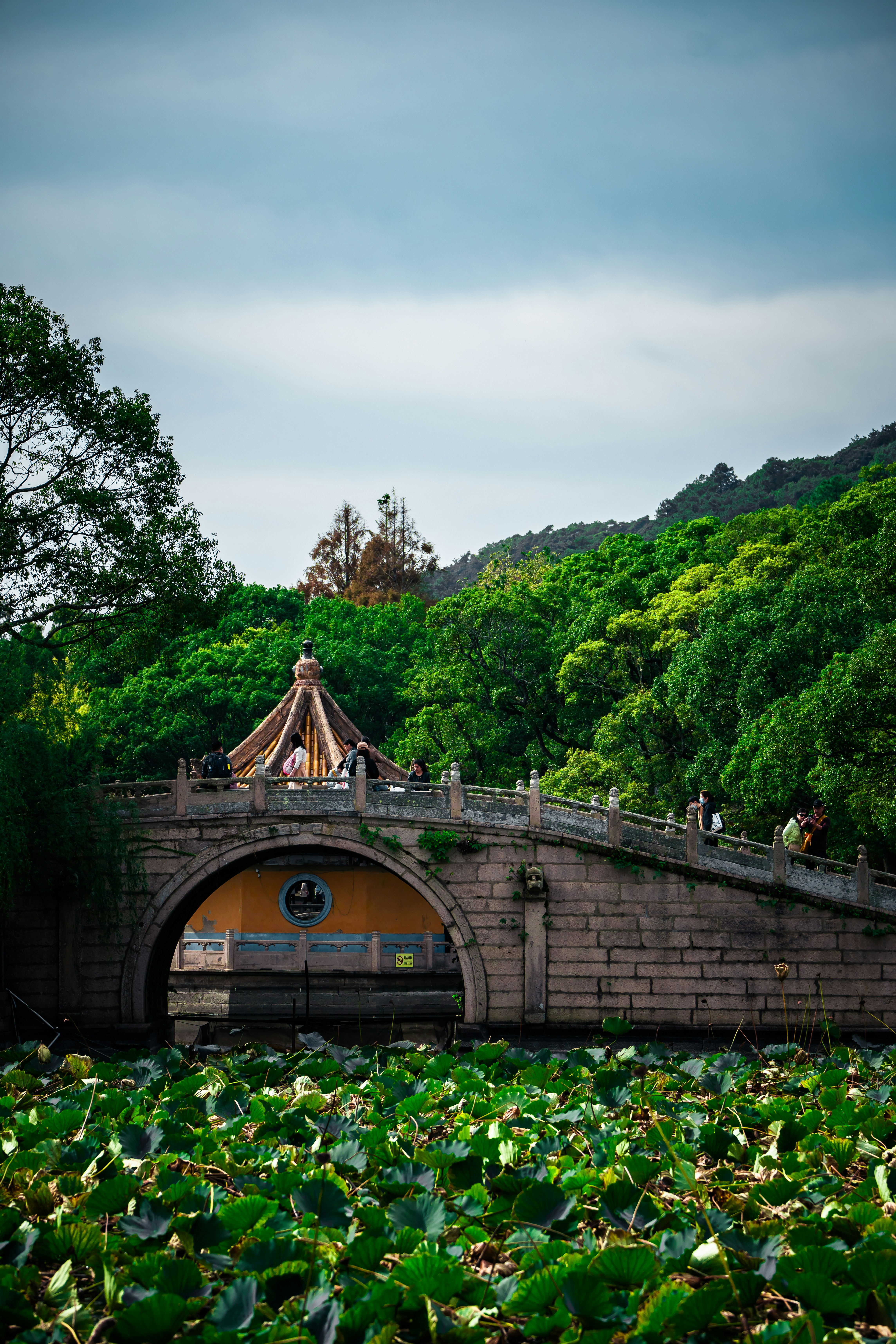 uma ponte sobre um corpo de água cercado por árvores