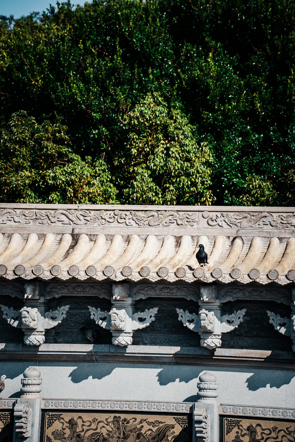 a bird sitting on top of a roof next to a forest