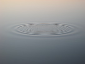 Gentle ripples spreading outwards in a calm body of water, creating a series of concentric circles on the surface. The water appears smooth and undisturbed except for the ripples.