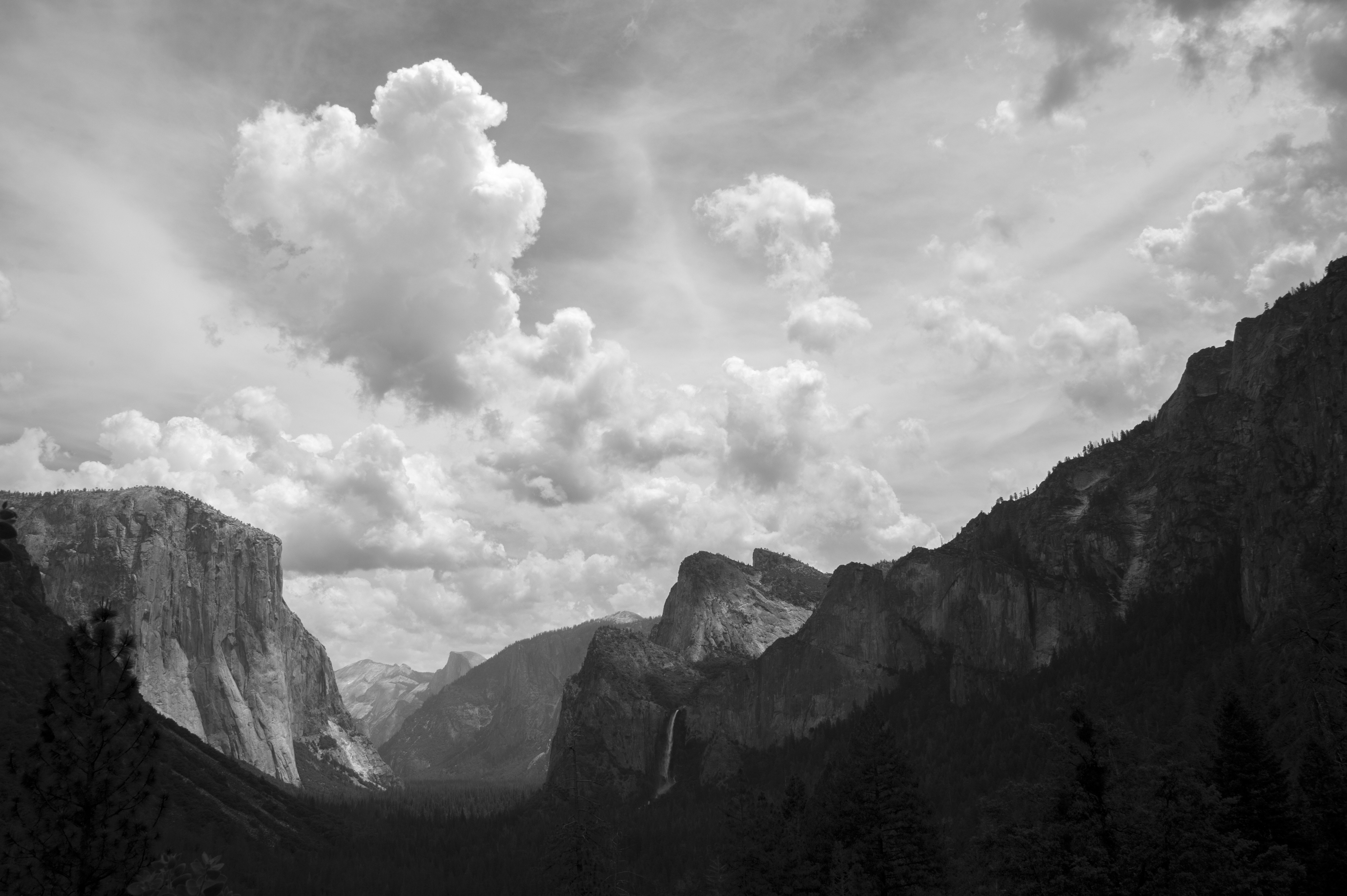 Photo by javier_virues_ortega