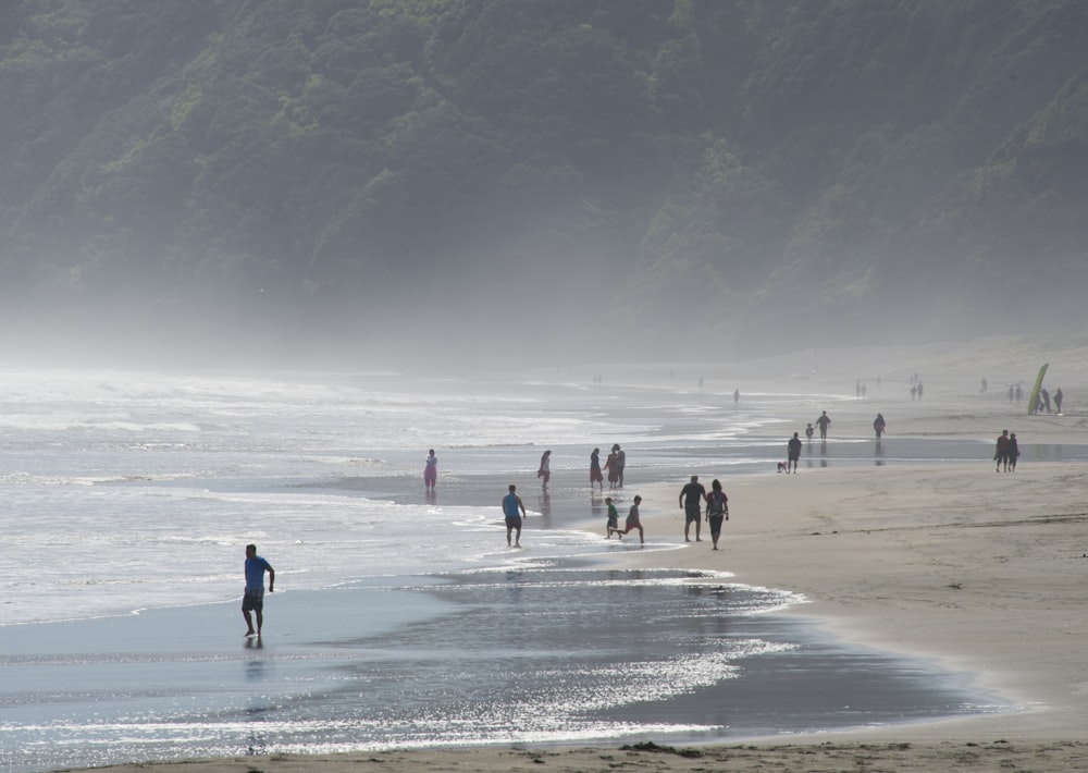 a group of people standing on top of a sandy beach