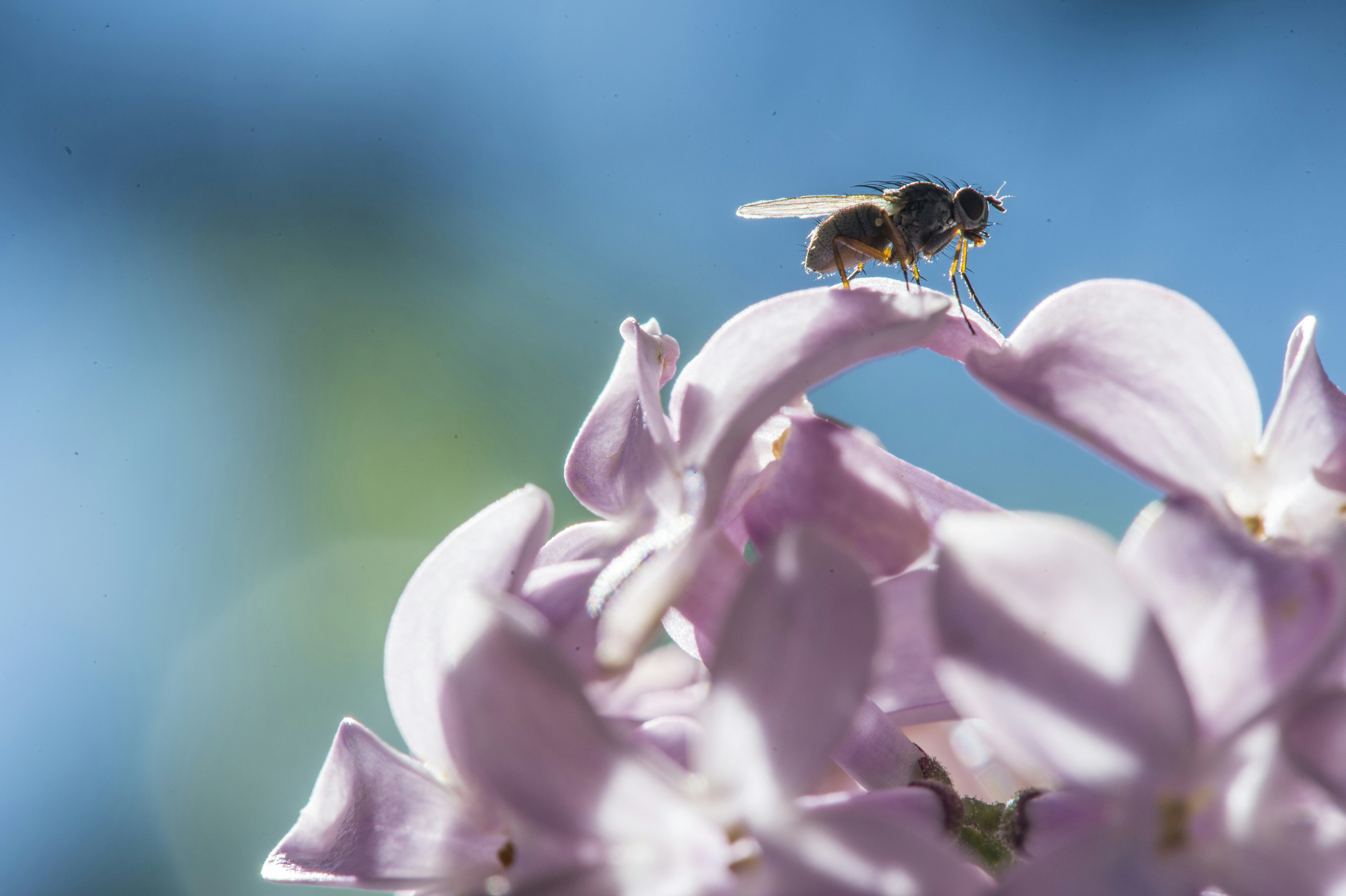 Photo by javier_virues_ortega