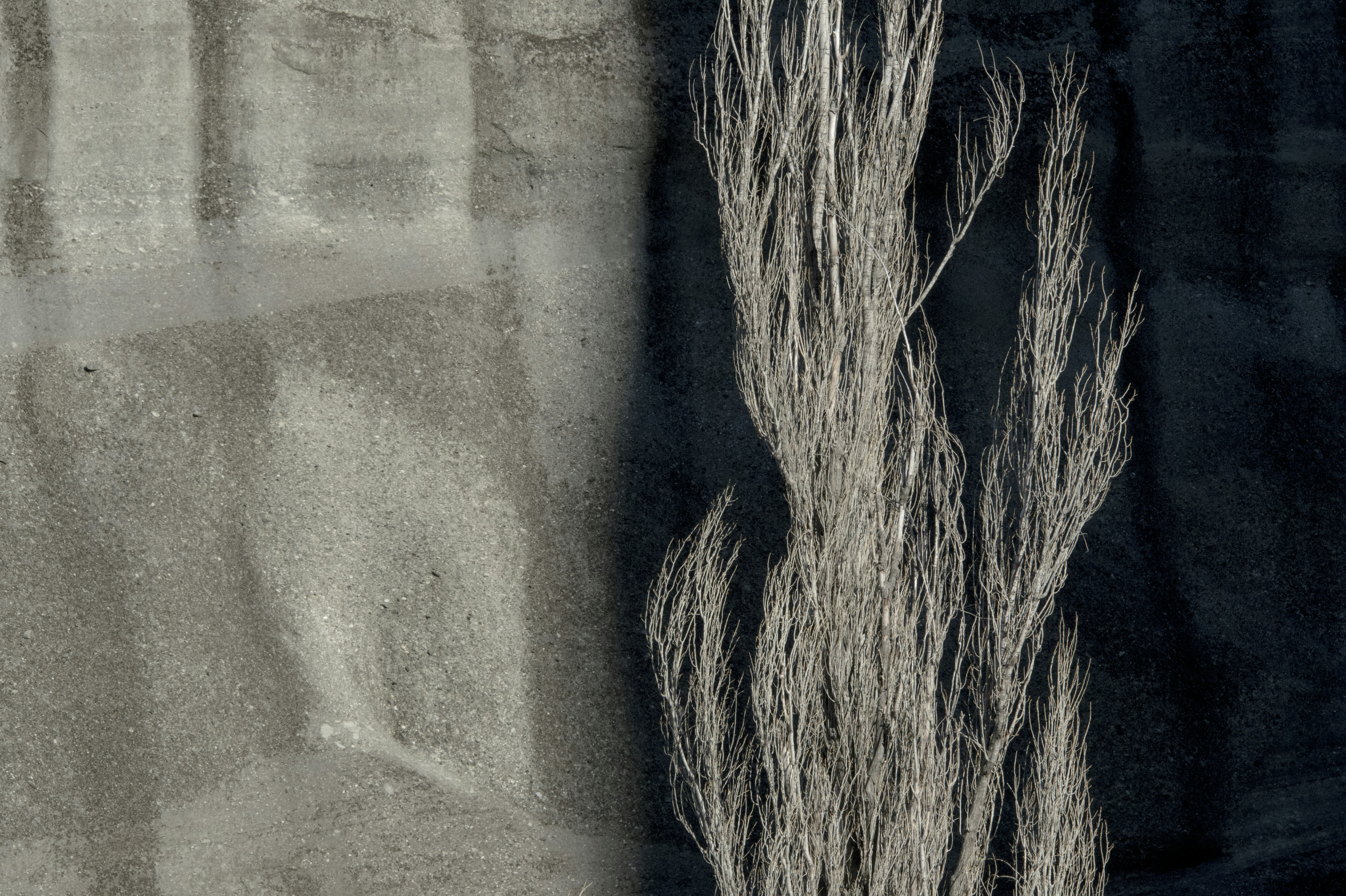 Photo by javier_virues_ortega