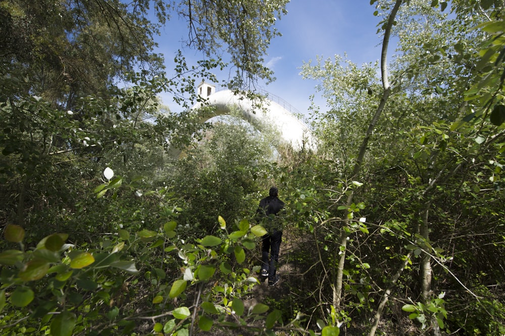 a man walking through a lush green forest