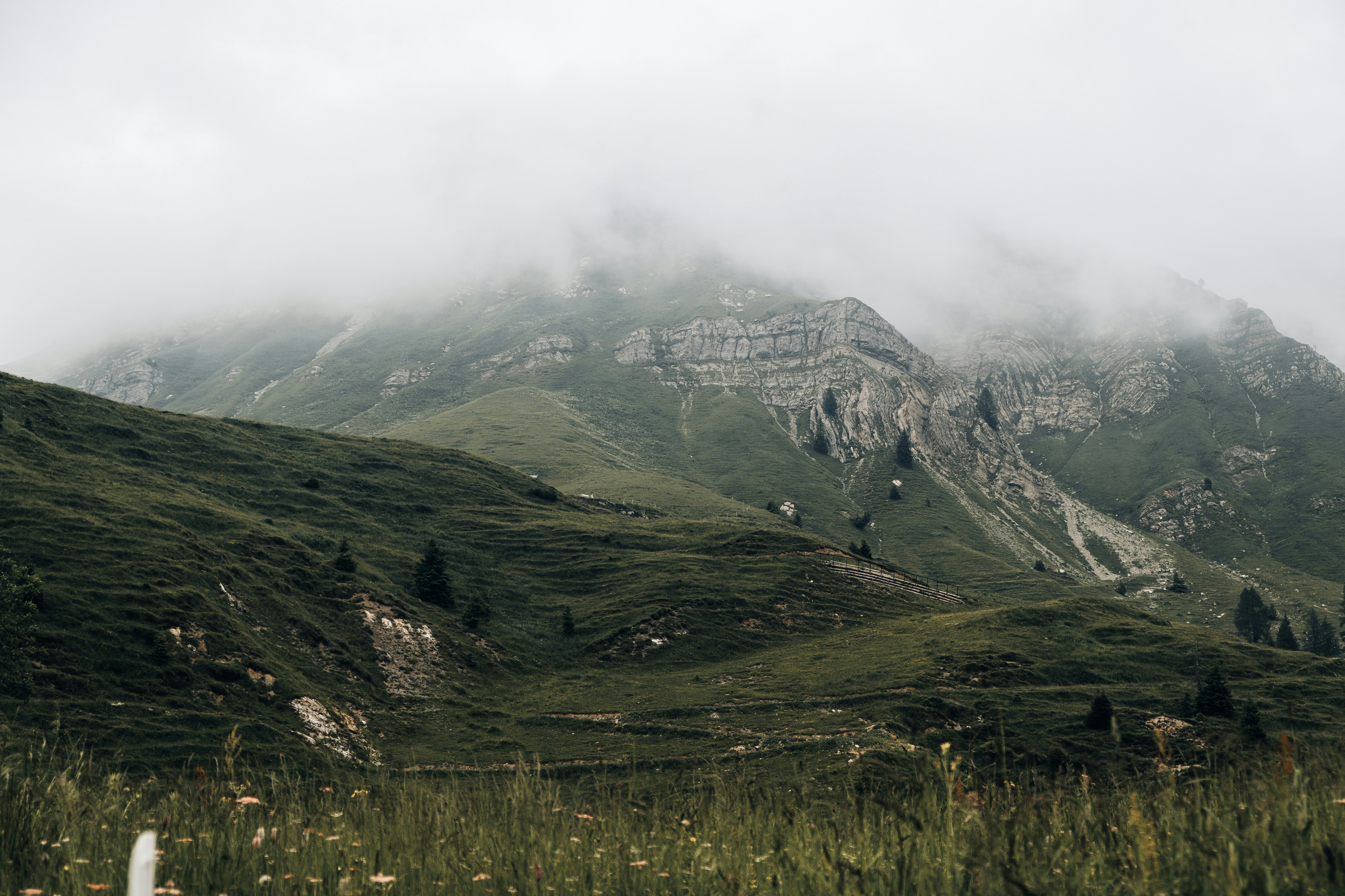 Photo by artstanulevich