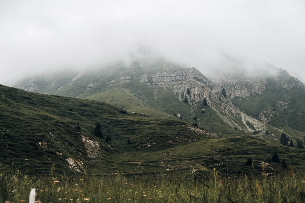 a mountain range covered in clouds and grass