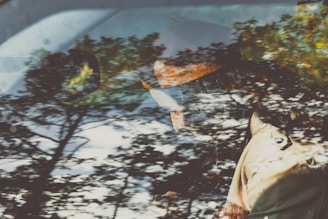 A reflection of trees and sky overlays a person inside a car, seen through a window. The scene creates a layered effect, blending nature with the interior environment.