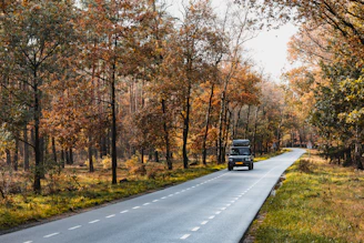 A Terratrek camper driving along a winding dirt road surrounded by autumn-colored forest.