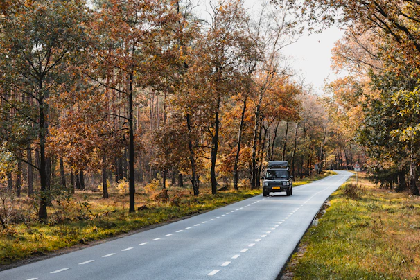 A Terratrek camper driving along a winding dirt road surrounded by autumn-colored forest.