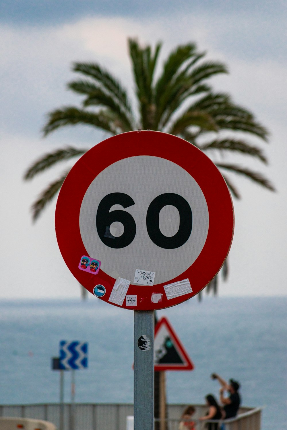 a close up of a street sign with a palm tree in the background