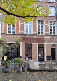 A brick building with large rectangular windows and a sign above the entrance displaying the word 'OPTIMIST'. In front of the building, there is a collection of potted plants, two parked bicycles, and a metal bicycle rack. The scene is shaded by green and yellow leaves from a tree overhead, and a cobblestone pavement runs along the front.