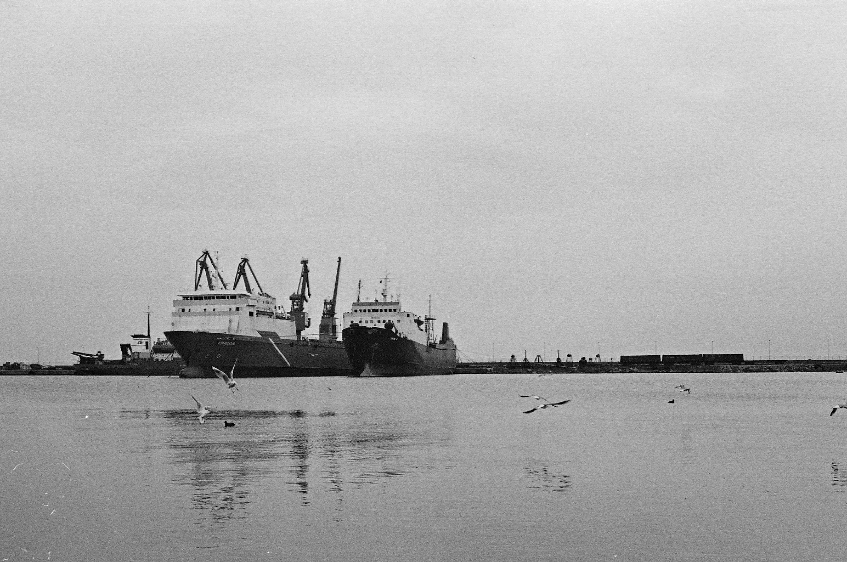 Photo by serenaytosun