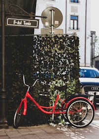 A red three-wheeled bicycle is parked on a sidewalk next to a signpost with 'B-dul Tomis.' The area is bordered by a leafy screen, and a black car is partially visible in the background. An urban building with windows is in the distance.