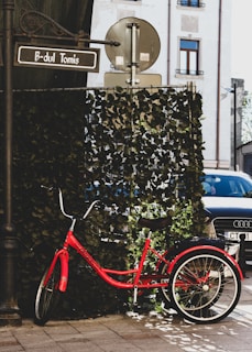 A red three-wheeled bicycle is parked on a sidewalk next to a signpost with 'B-dul Tomis.' The area is bordered by a leafy screen, and a black car is partially visible in the background. An urban building with windows is in the distance.