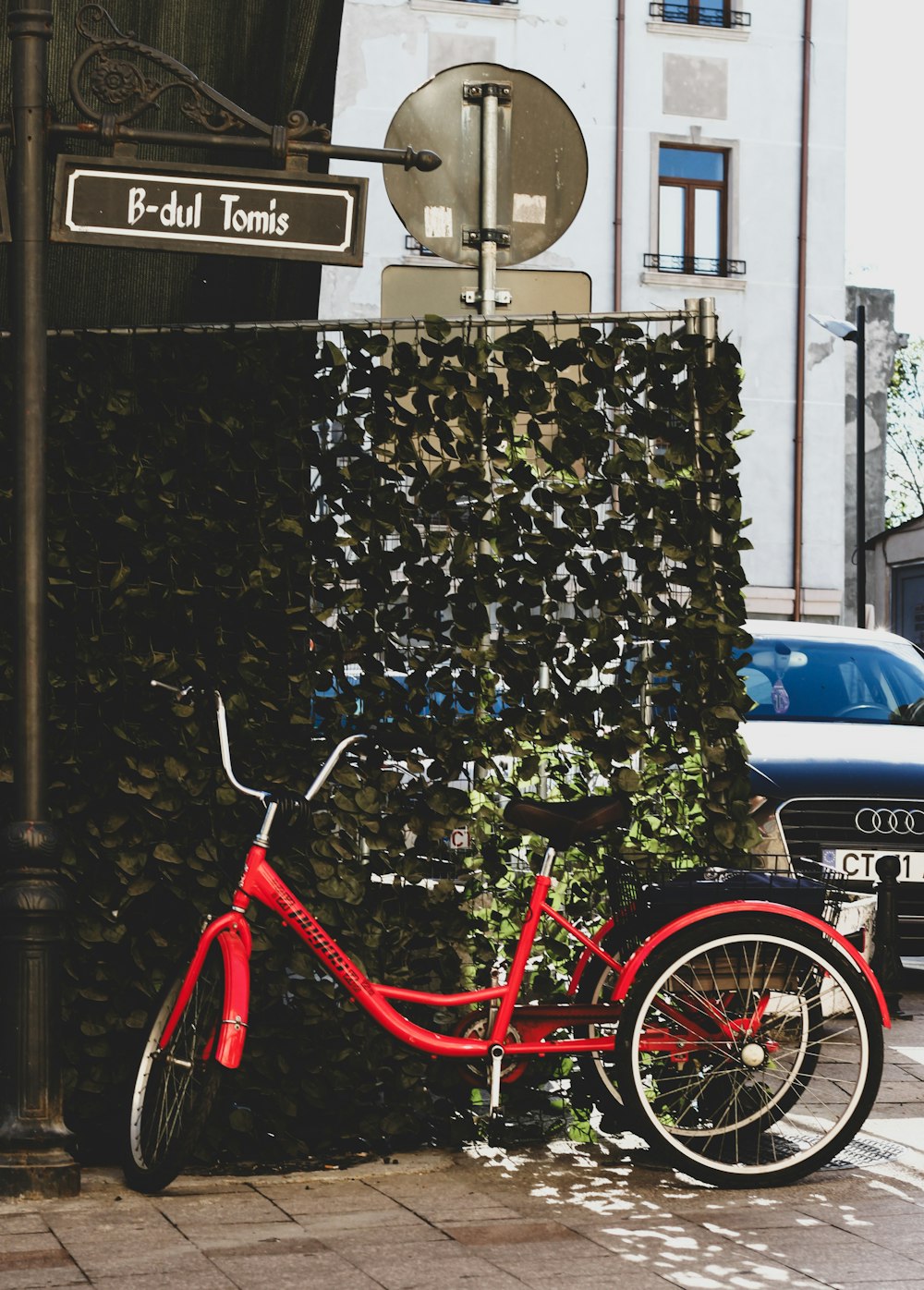 a red bike parked next to a tall plant
