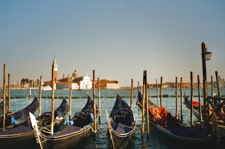 a row of gondolas sitting next to each other on a body of water