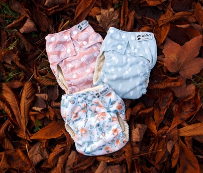 Hybrid Diapers: Combining Cloth and Disposable Features